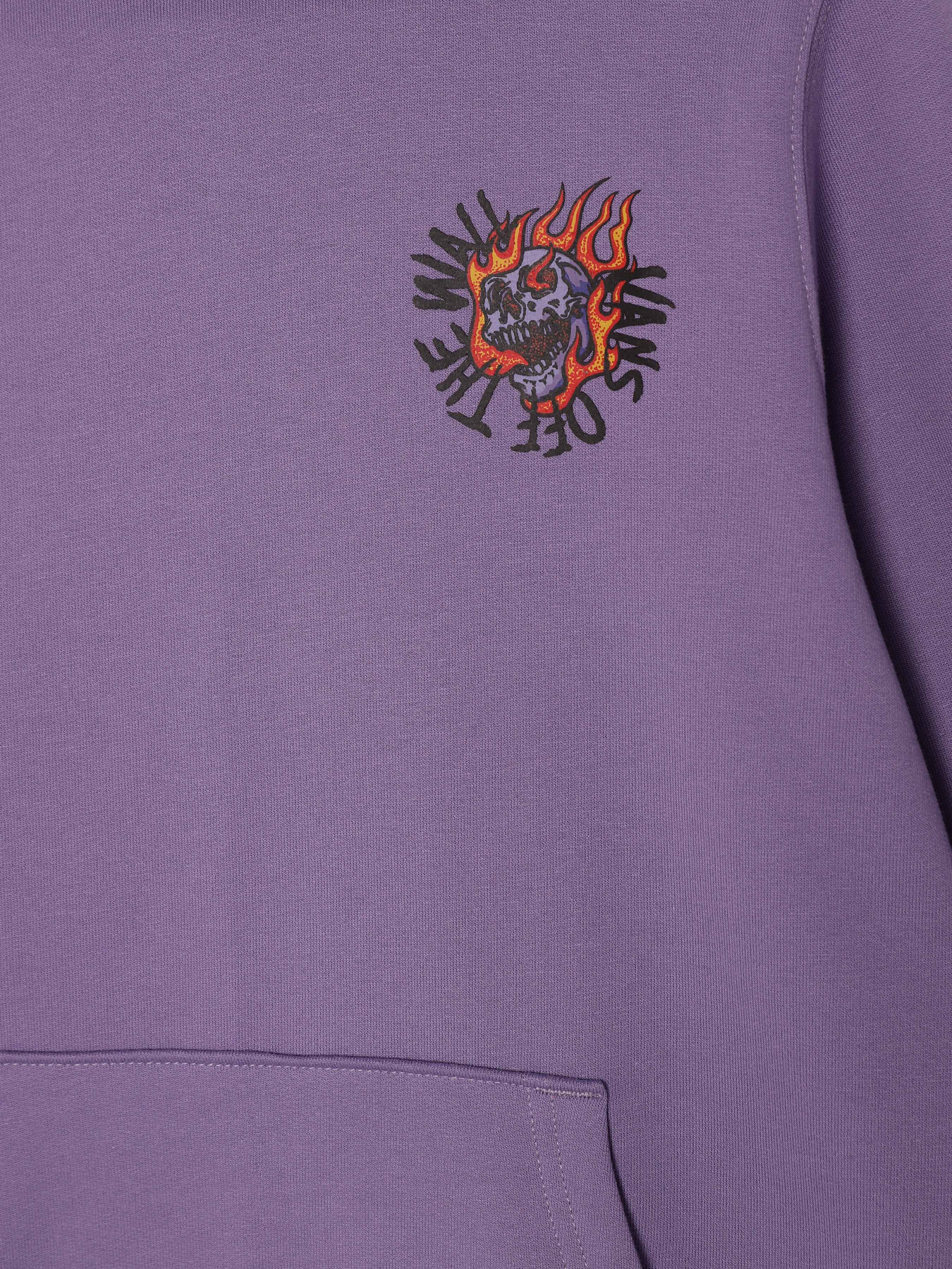 Худи Vans Vortex модель VN000MH96PH1 Фото