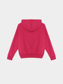 Худи Vans Blur модель VN000M8MC9L1 Фото