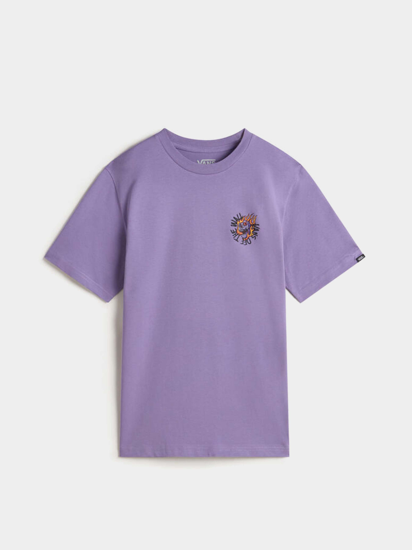 Футболка Vans Vortex модель VN000MKH6PH1 Фото