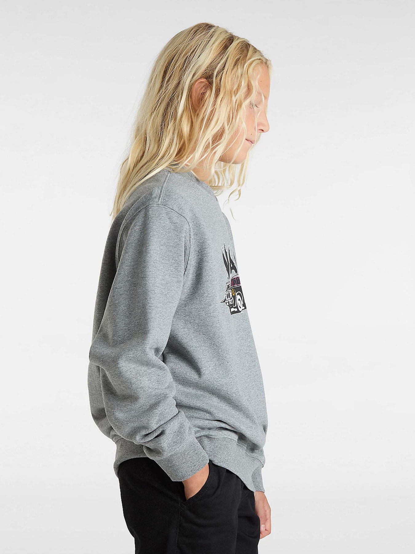 Свитшот Vans Copout Loose Crew модель VN000MJ302F1 Фото