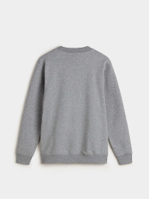 Свитшот Vans Copout Loose Crew модель VN000MJ302F1 Фото