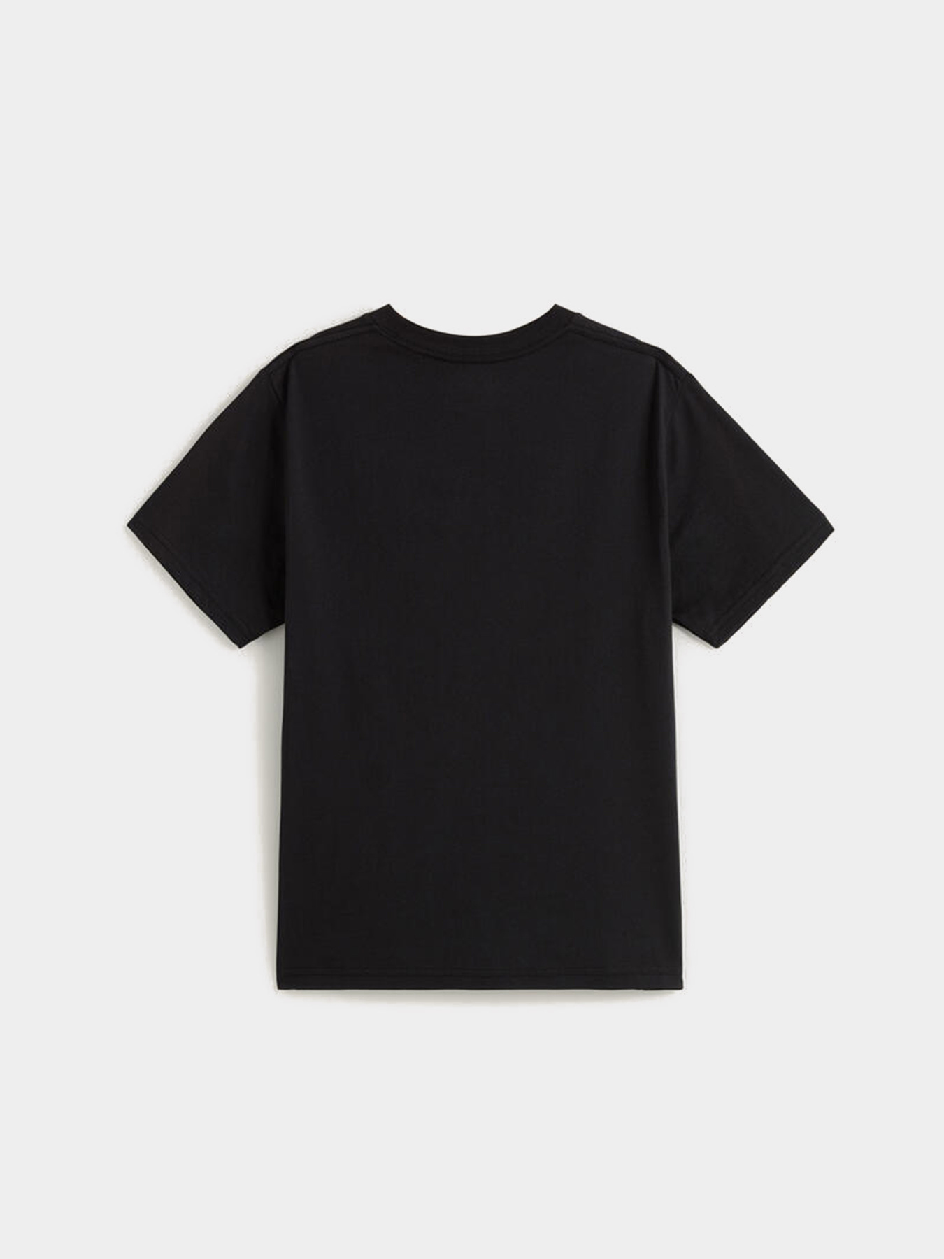 Футболка Vans Cactus Wire модель VN000PXTBLK1 Фото