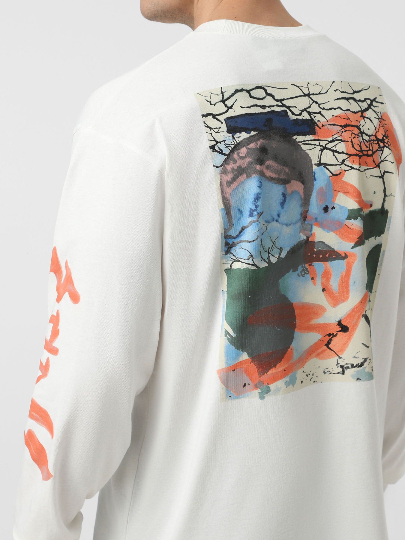 Лонгслив Vans Raw Instinct модель VN000R96FS81 Фото