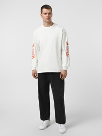 Лонгслив Vans Raw Instinct модель VN000R96FS81 Фото