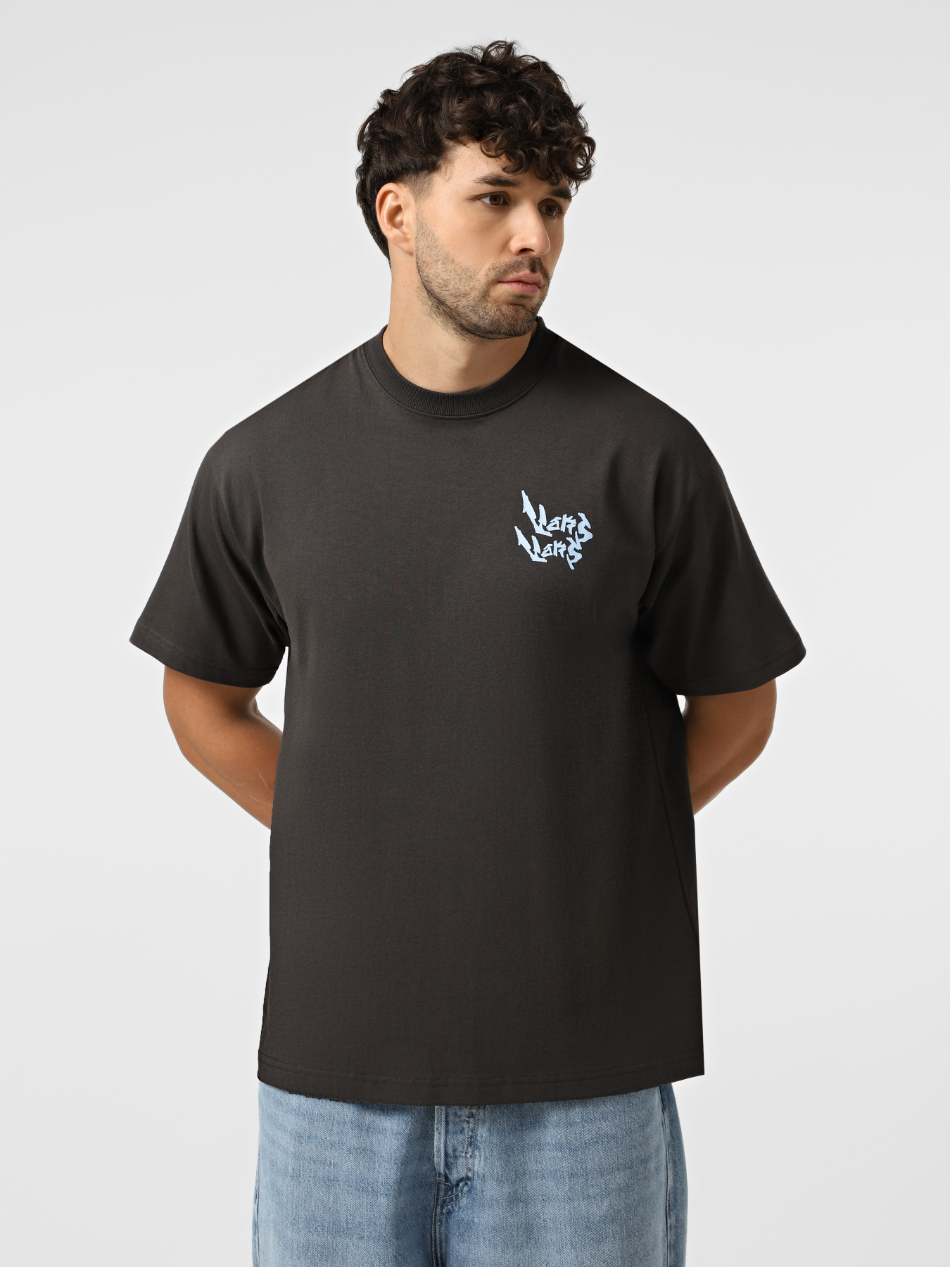 Футболка Vans Heavy Thinker модель VN000RFMEMV1 Фото