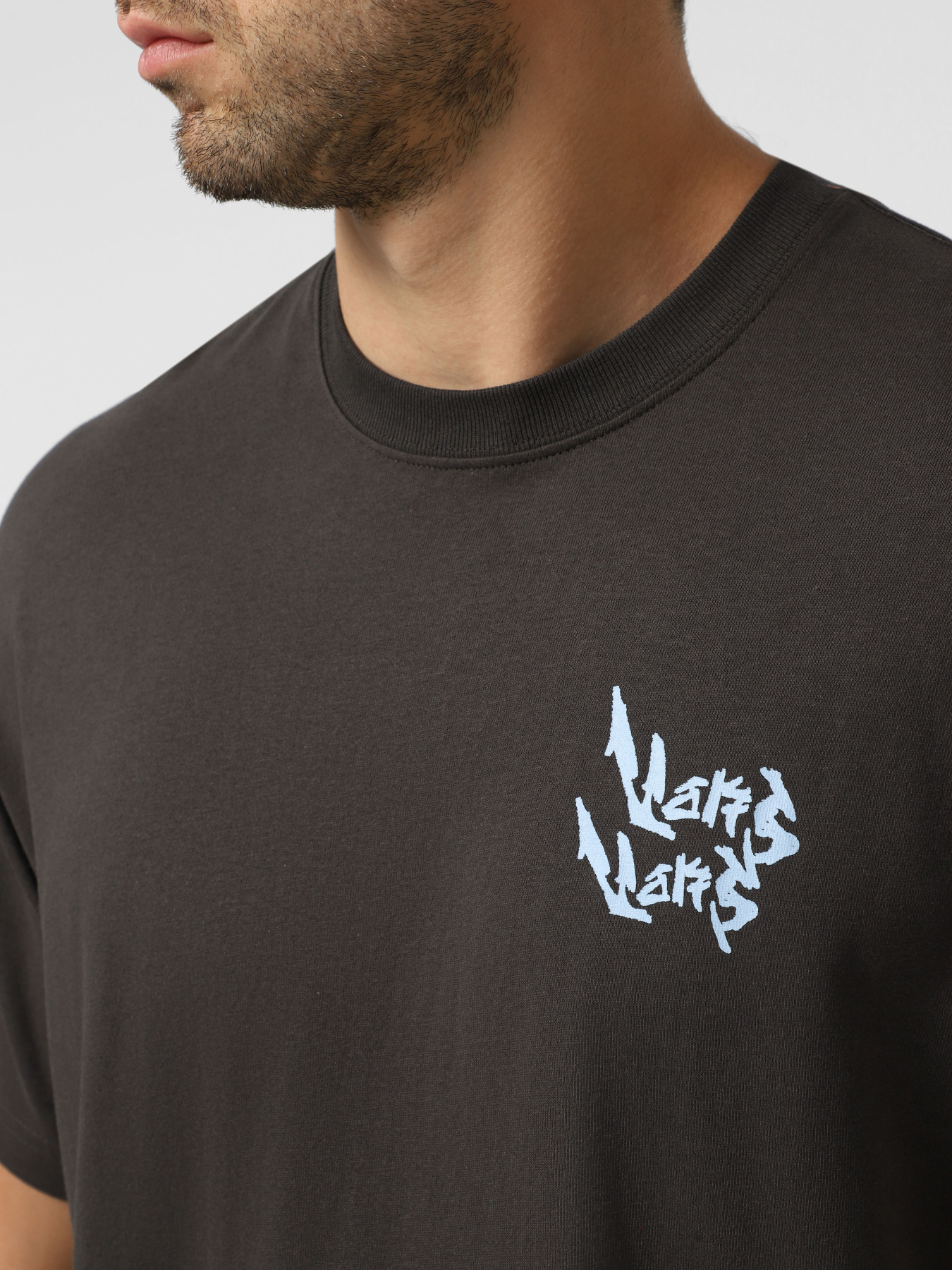 Футболки и поло Vans Heavy Thinker модель VN000RFMEMV1 Футболки и поло Vans Heavy Thinker модель VN000RFMEMV1 Фото
