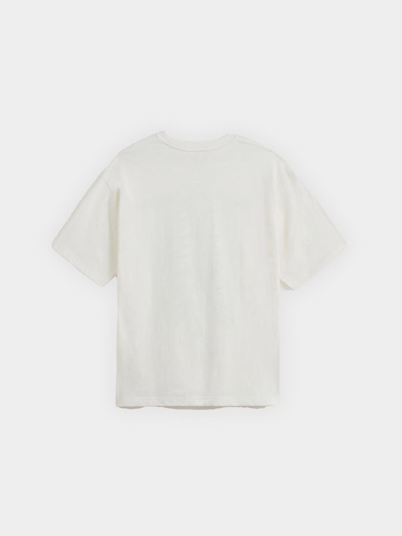 Футболка Vans MTE Ribcage Reversible модель VN000PJTC9F1 Фото