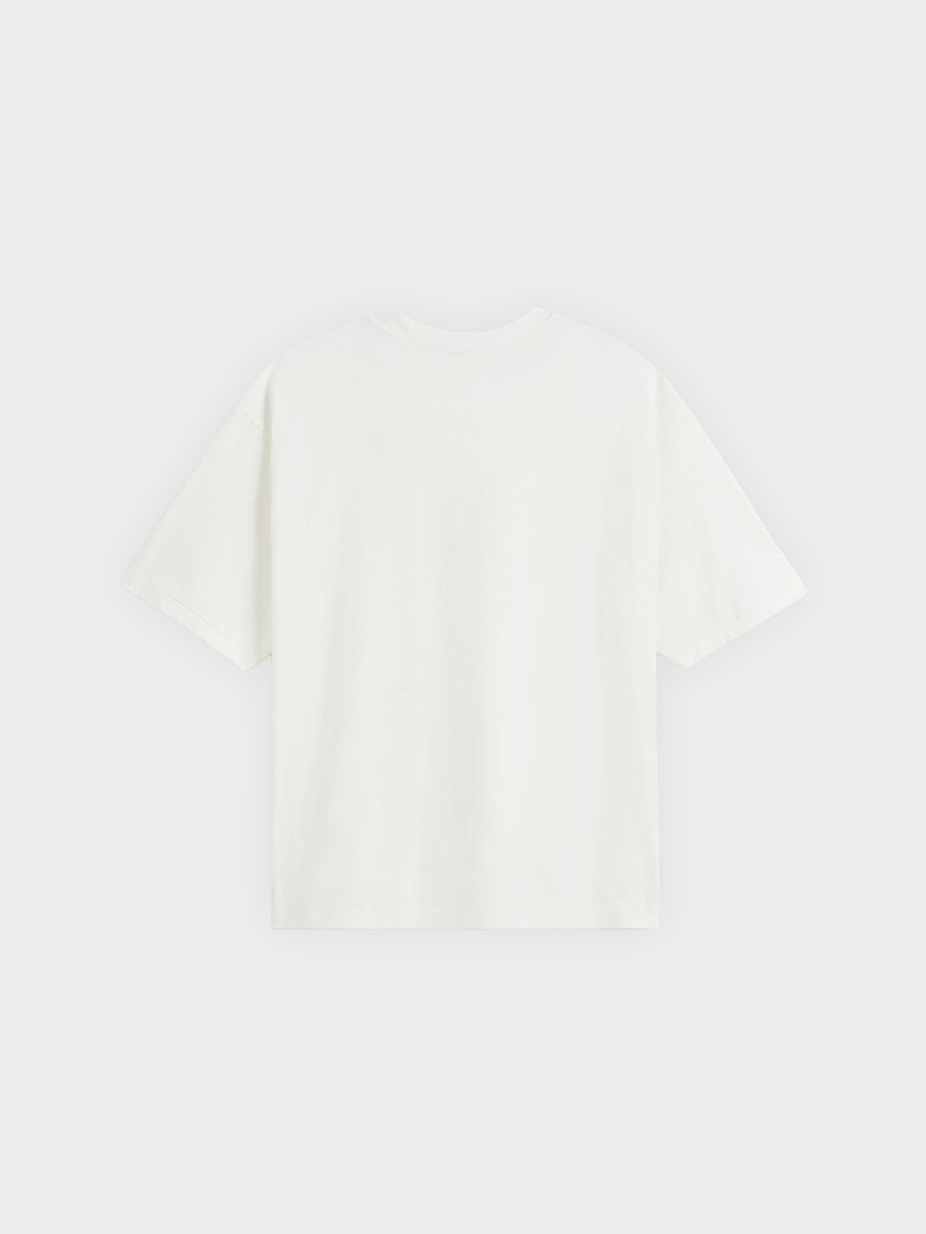 Футболка Vans Raw Instinct модель VN000R94FS81 Фото