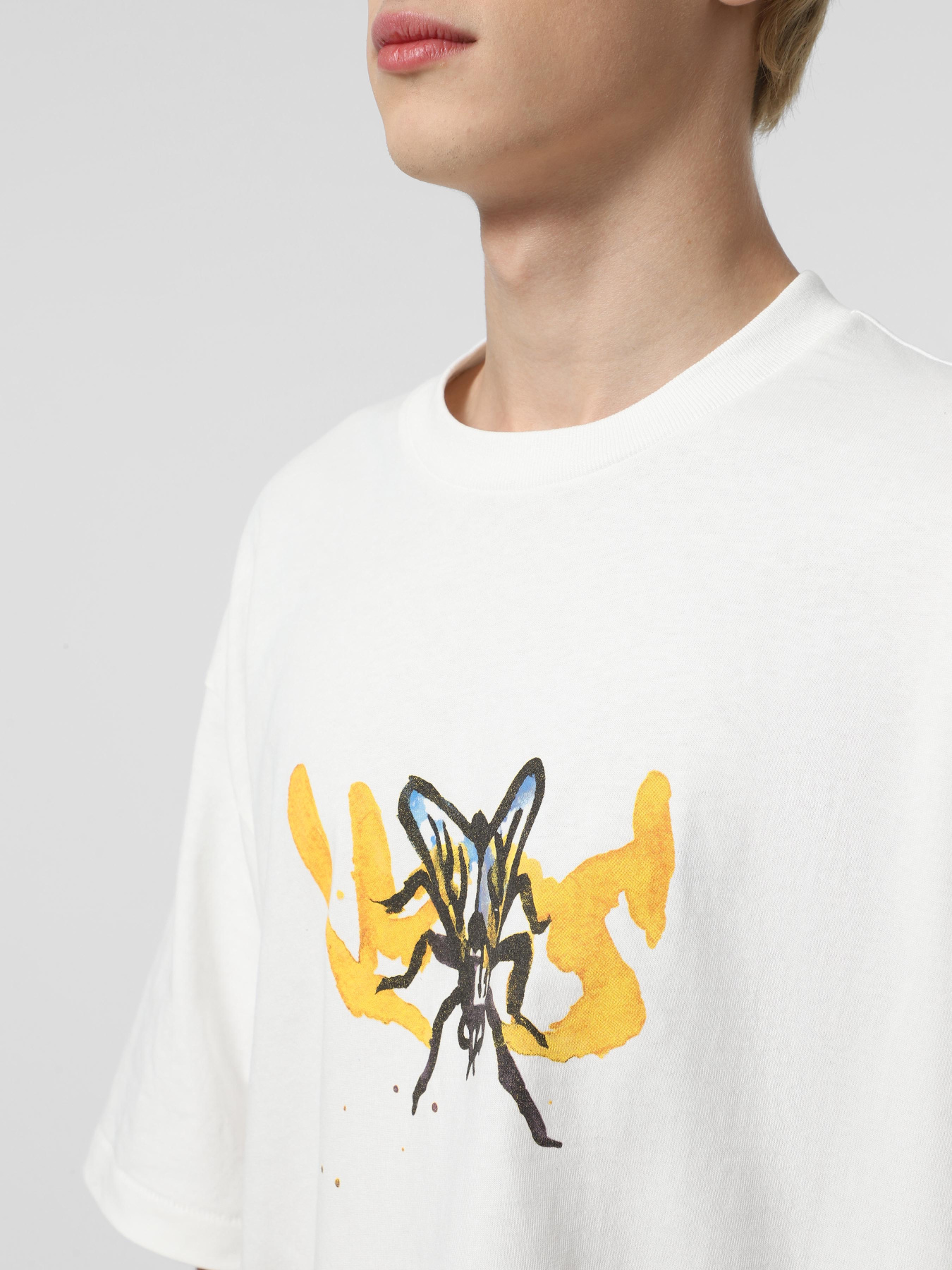 Футболка Vans Raw Instinct модель VN000R94FS81 Футболка Vans Raw Instinct модель VN000R94FS81 Фото