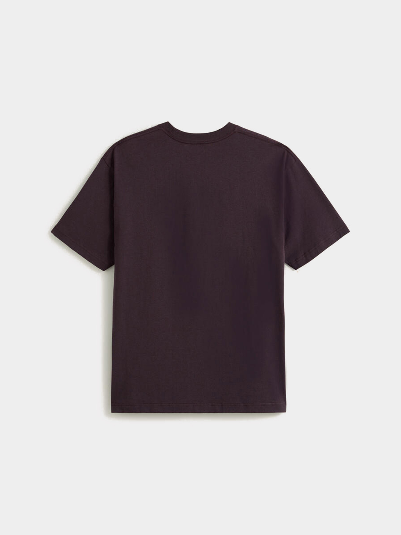 Футболка Vans Style Tips модель VN000PCXEMS1 Фото