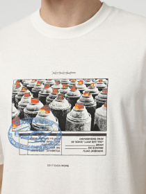 Футболка Vans Style Tips модель VN000PCXFS81 Фото