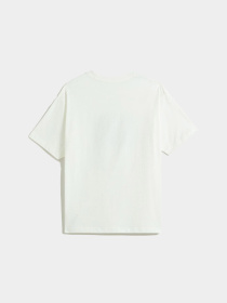 Футболка Vans Style Tips модель VN000PCXFS81 Фото