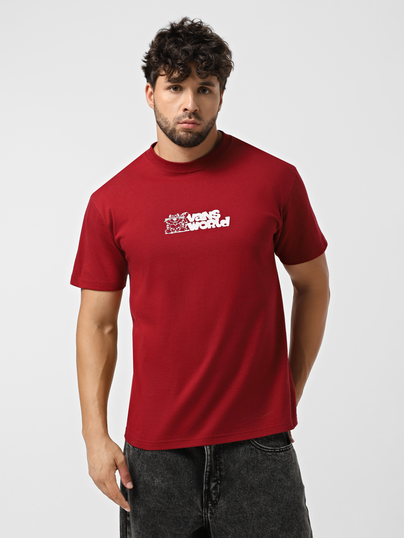 Футболка Vans World Модель VN000PBSBRD1 Фото