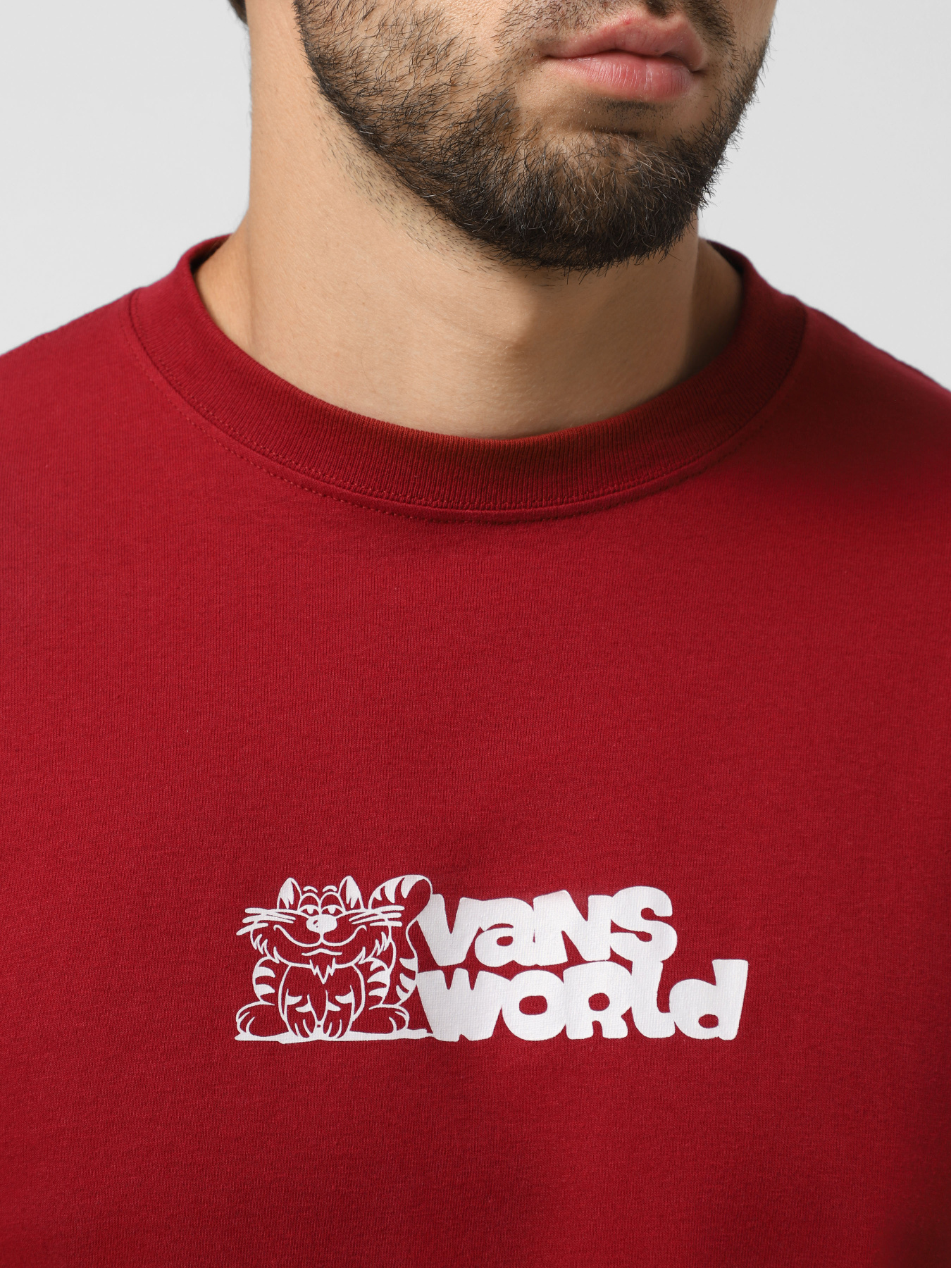 Футболка Vans World модель VN000PBSBRD1 Фото