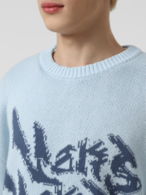 Свитшот Vans Raw instinct Mirror модель VN000R92FBG1 Фото