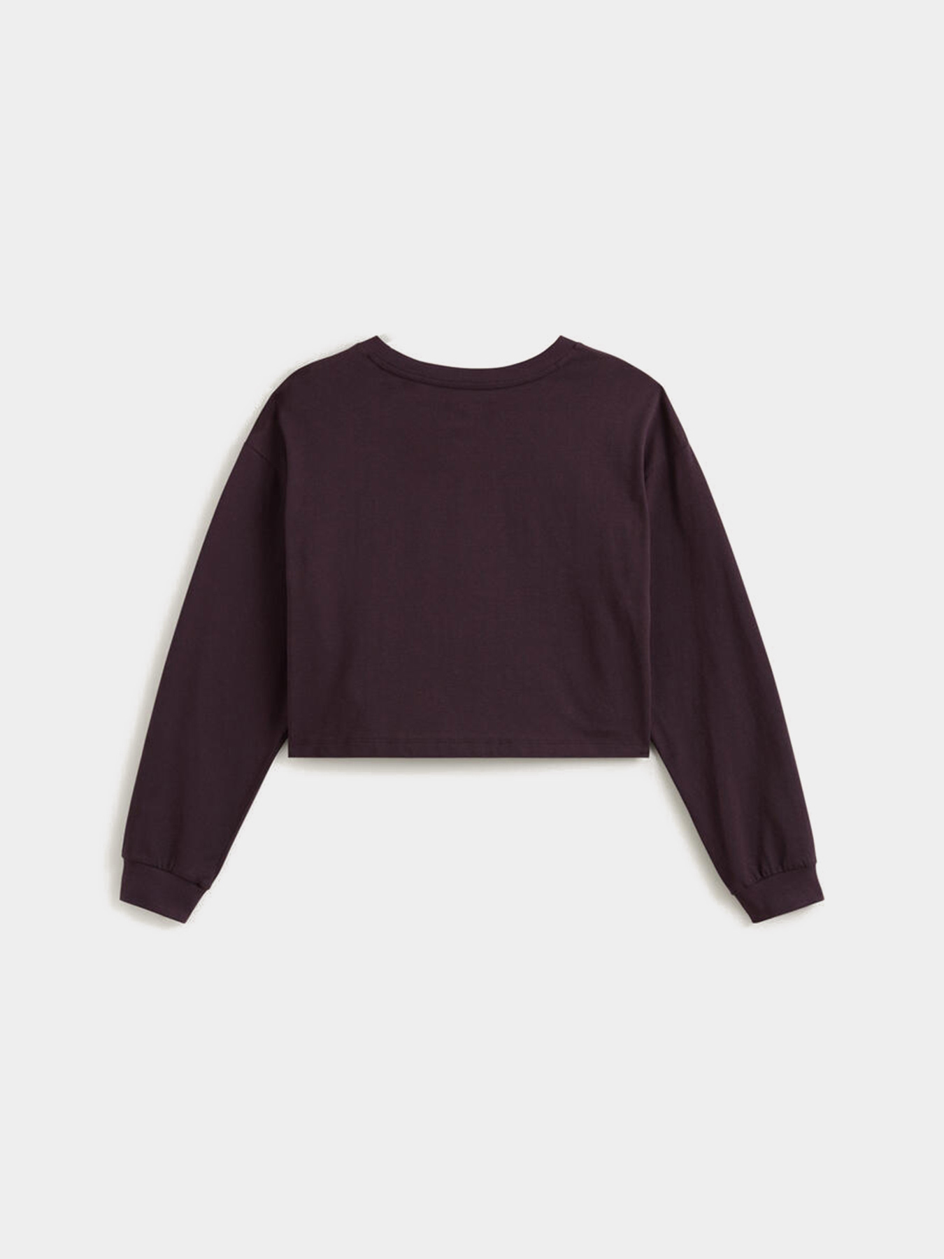 Лонгслів Vans модель VN000REGEMS1 Фото