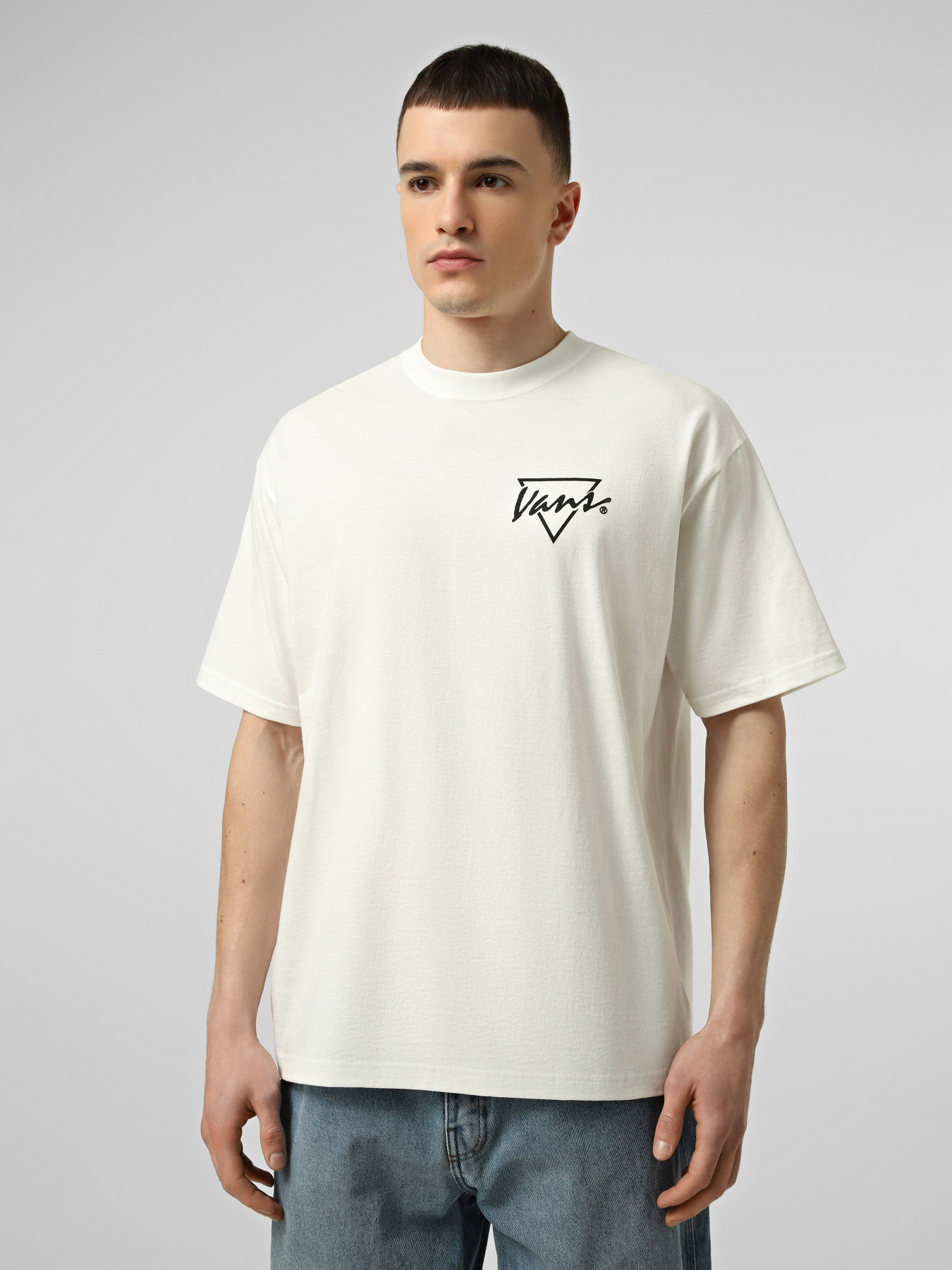 Футболка Vans PALM DRIVE SS TEE модель VN000SXEWHT1 Фото