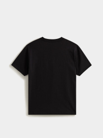 Футболки и поло Vans STRETCH LOGO SS TEE модель VN000SWDY281 Фото
