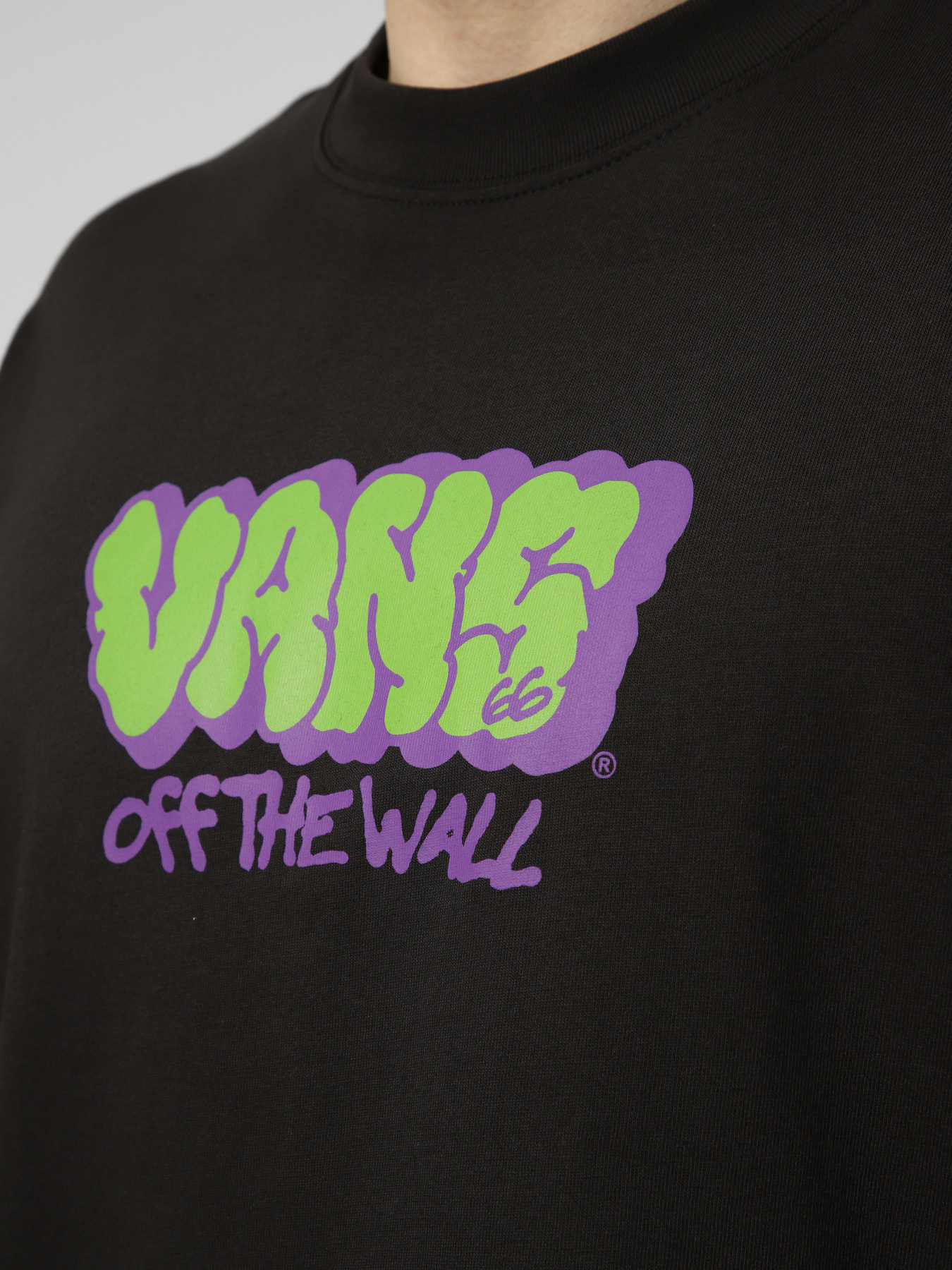 Футболка Vans VANS GRAFF LOOSE SS TEE модель VN000VYBBLK1 Футболка Vans VANS GRAFF LOOSE SS TEE модель VN000VYBBLK1 Фото