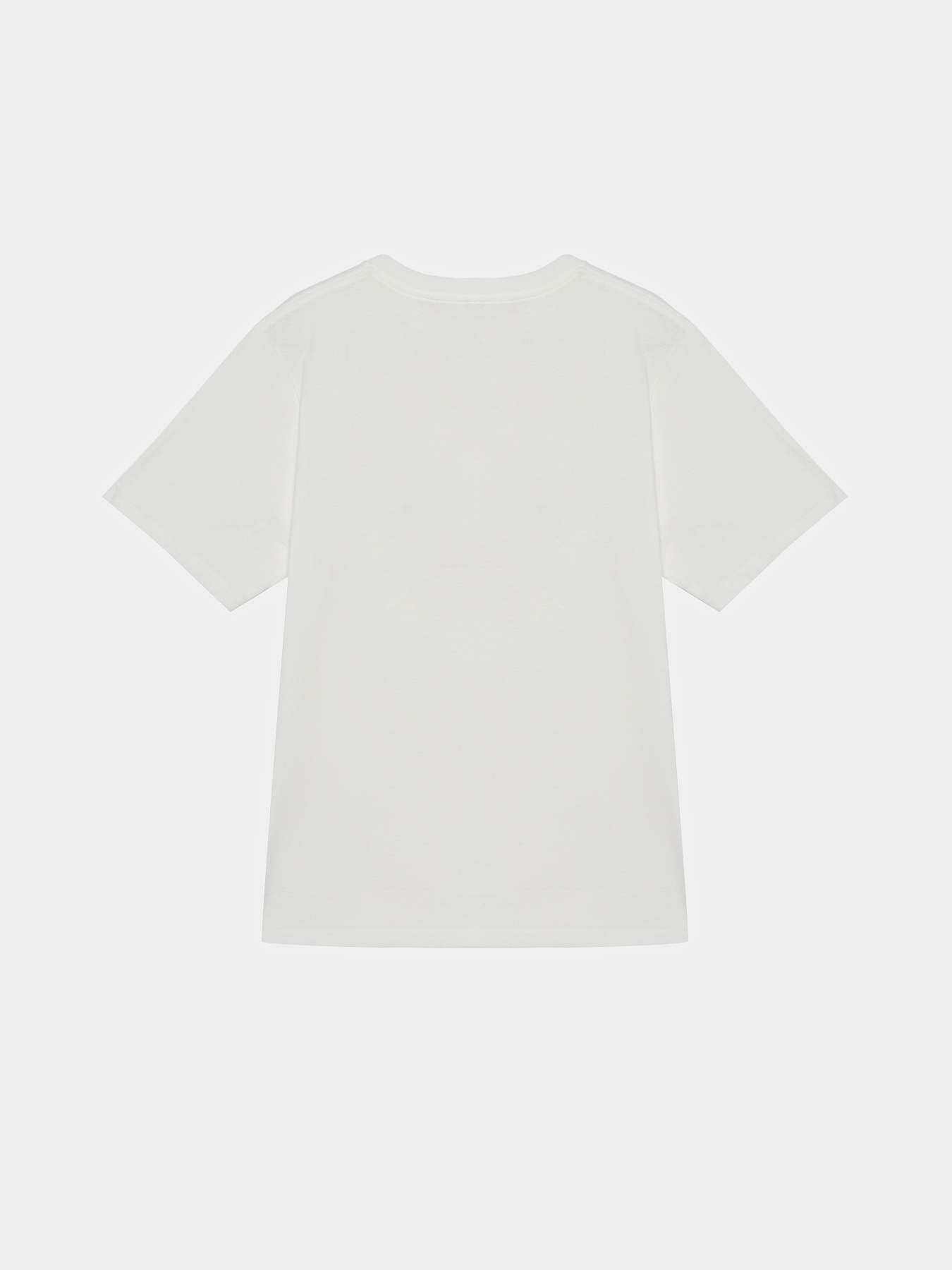 Футболка Vans BIG PUSH SS модель VN000TBBWHT1 Фото