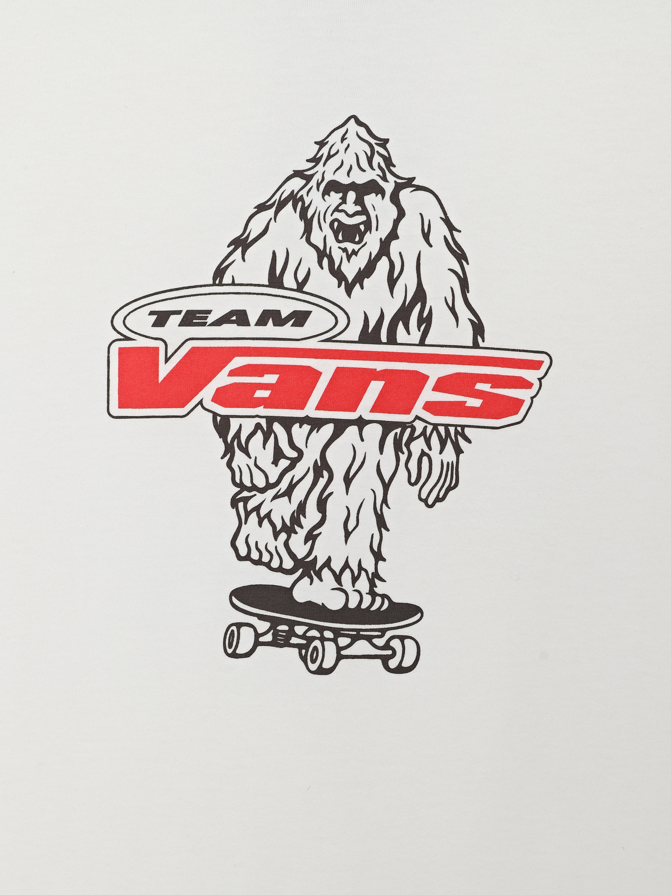 Футболка Vans BIG PUSH SS модель VN000TBBWHT1 Фото