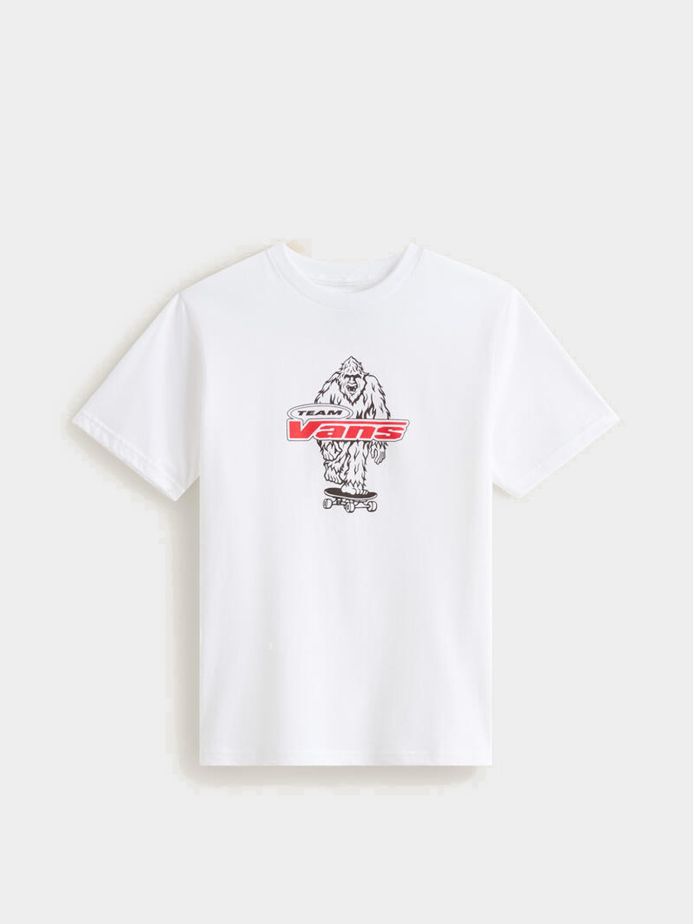 Футболка Vans BIG PUSH SS модель VN000TBBWHT1 Футболка Vans BIG PUSH SS модель VN000TBBWHT1 Фото