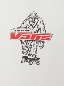 Футболка Vans BIG PUSH SS модель VN000TBBWHT1 Фото