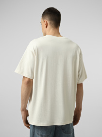 Футболка Vans BLOCKED BOX LOOSE SS модель VN000RAPC9F1 Фото