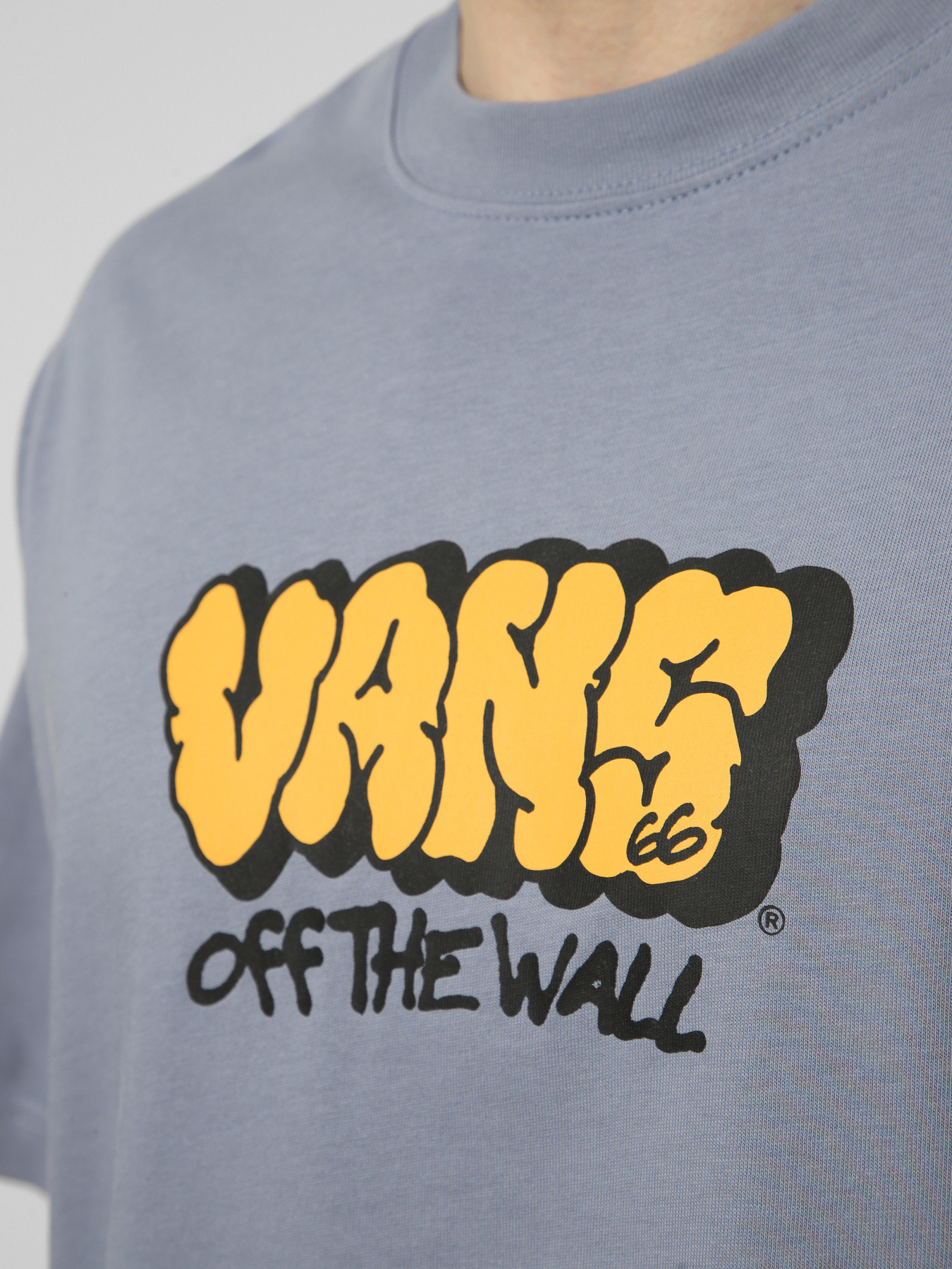 Футболка Vans VANS GRAFF LOOSE SS TEE модель VN000VYBFOI1 Фото