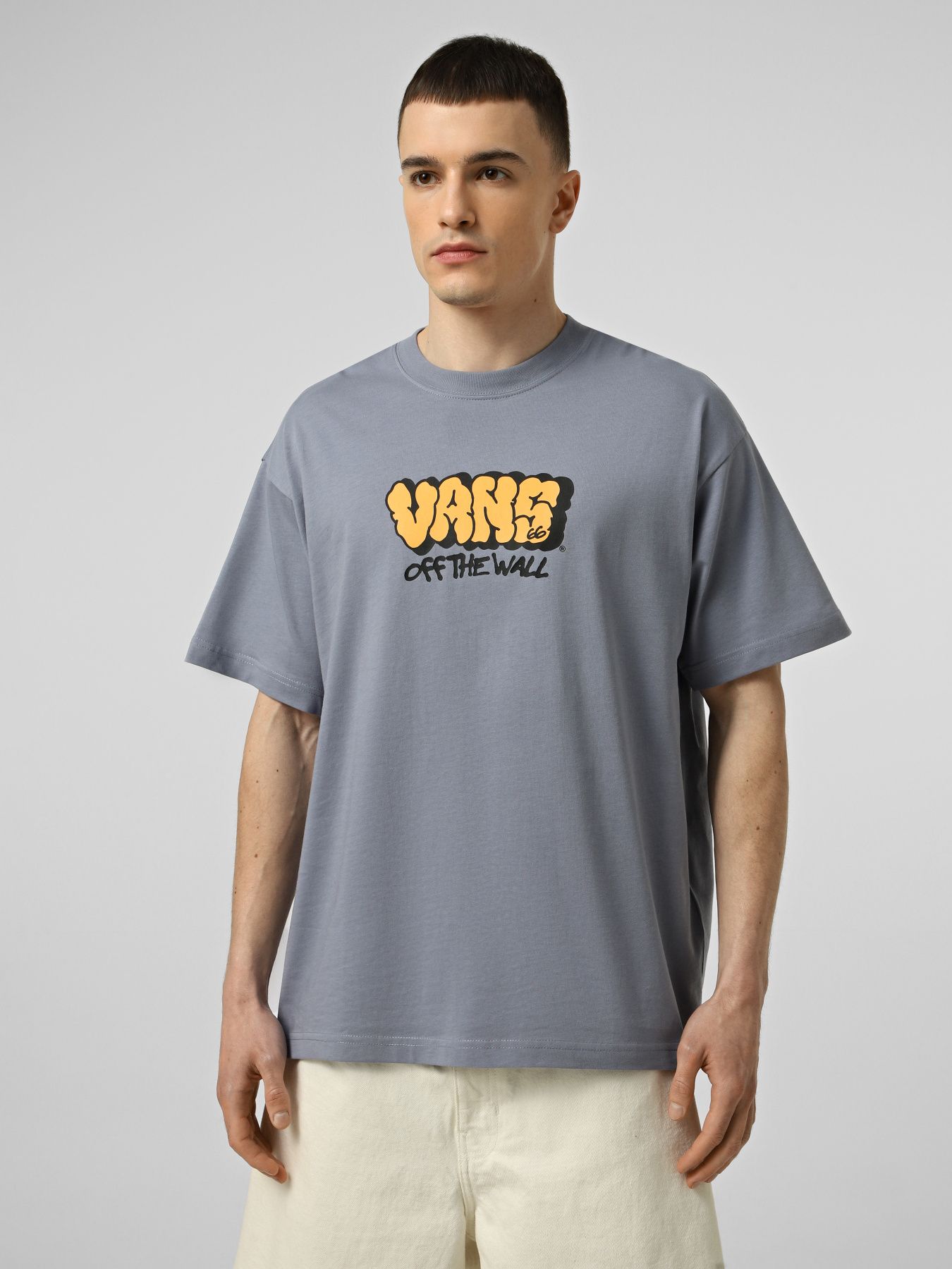 Футболка Vans VANS GRAFF LOOSE SS TEE модель VN000VYBFOI1 Фото