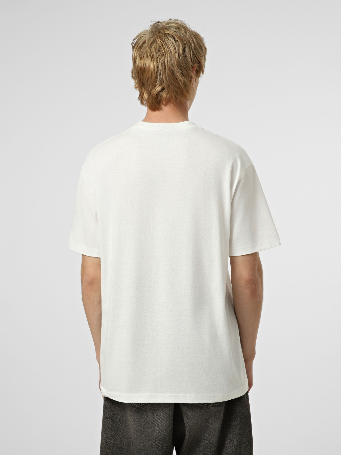 Футболки и поло Vans BEVEL FLAME SS TEE модель VN000SXBWHT1 Фото