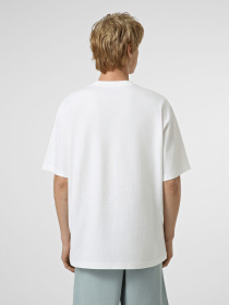 Футболки і поло Vans COMMITMENT 4 DUMMIES LOOSE  SS модель VN000VY5WHT1 Фото