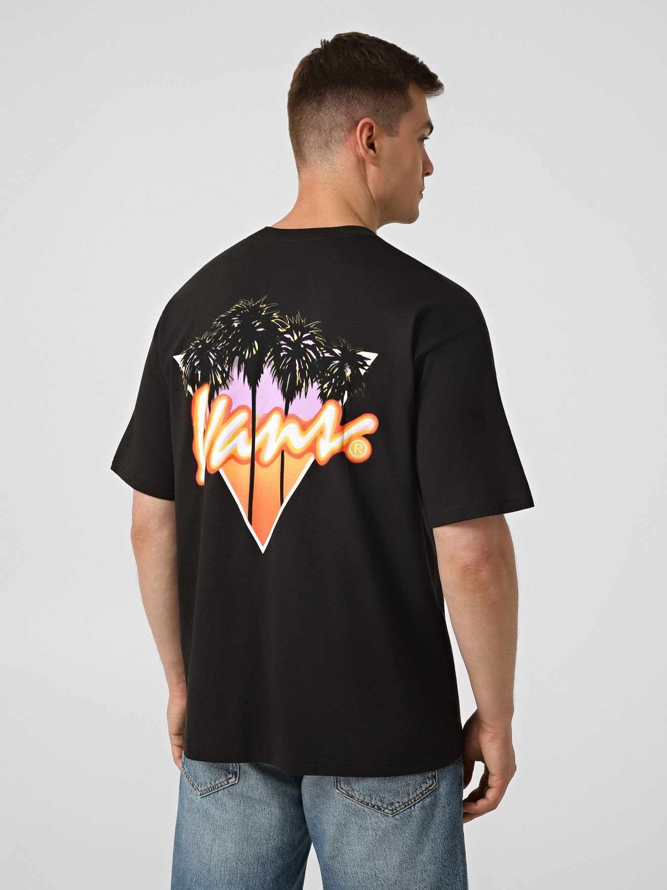 Футболки и поло Vans PALM DRIVE SS TEE модель VN000SXEBLK1 Фото