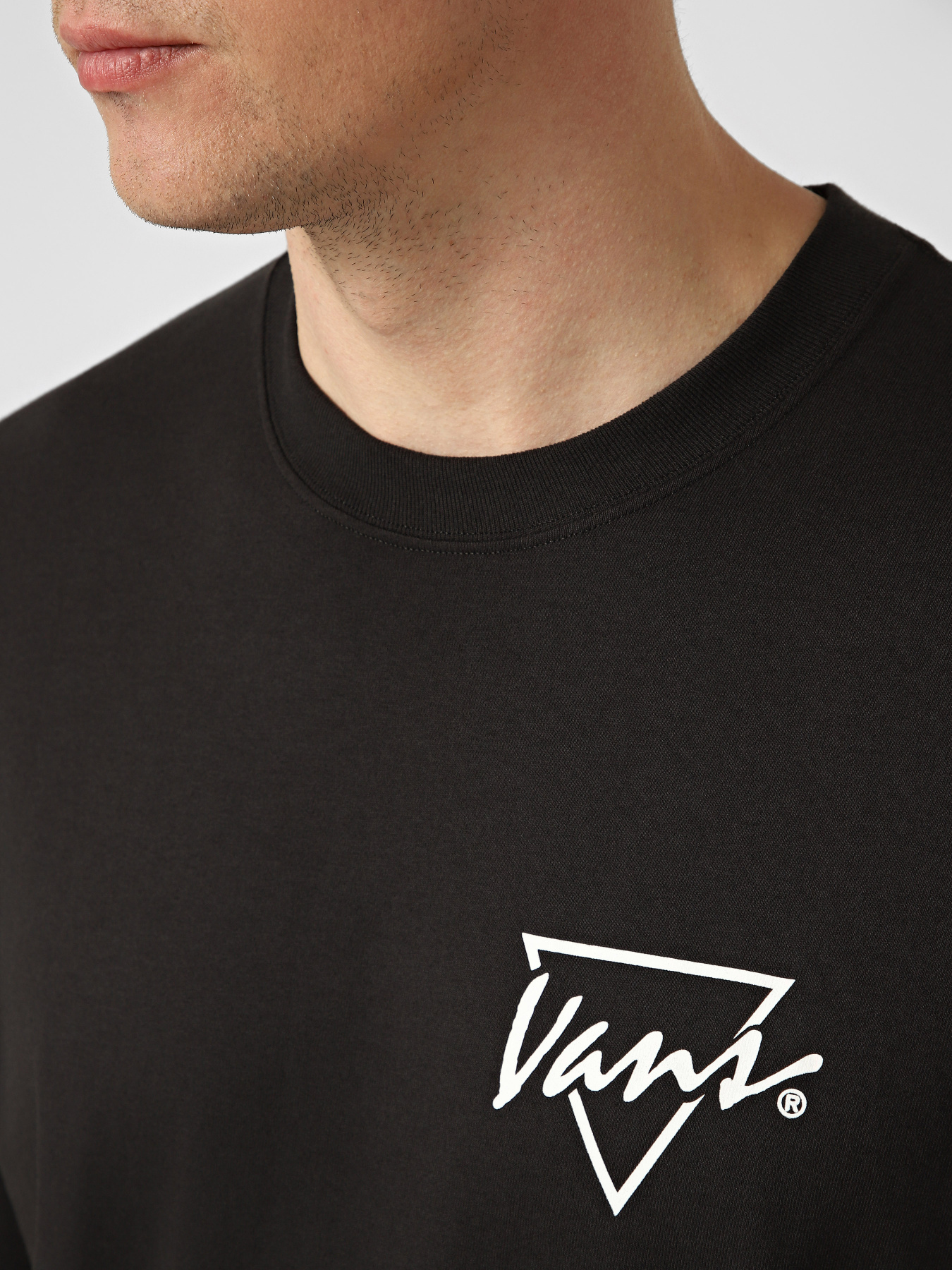 Футболки и поло Vans PALM DRIVE SS TEE модель VN000SXEBLK1 Фото