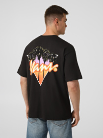 Футболки и поло Vans PALM DRIVE SS TEE модель VN000SXEBLK1 Фото