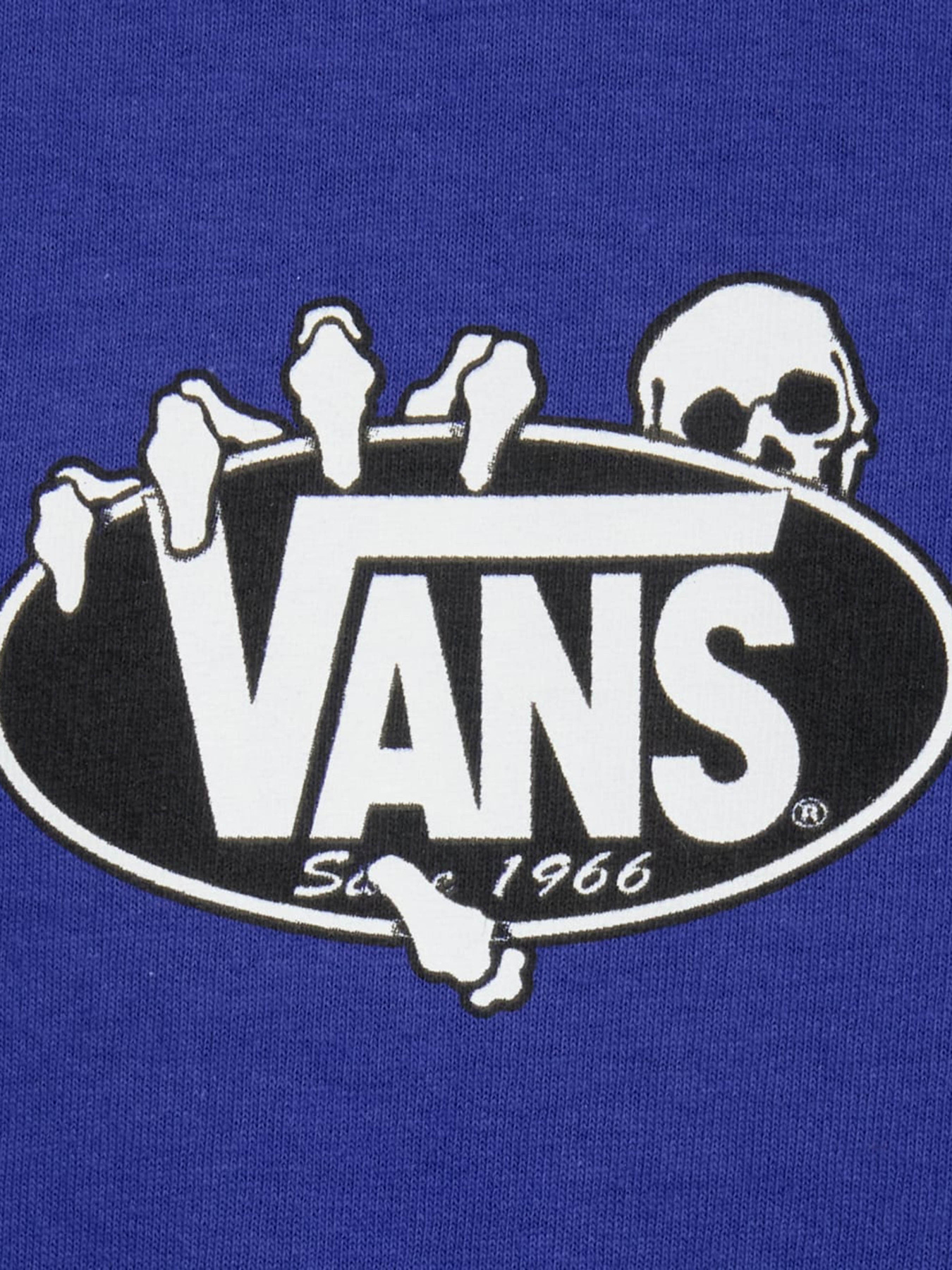 Футболки и поло Vans SHOW OFF SS TEE модель VN000SWTFRX1 Фото