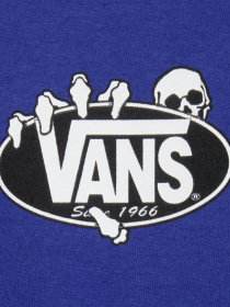 Футболки и поло Vans SHOW OFF SS TEE модель VN000SWTFRX1 Фото