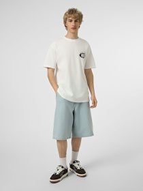 Футболки и поло Vans SHOW OFF SS TEE модель VN000SWTWHT1 Фото