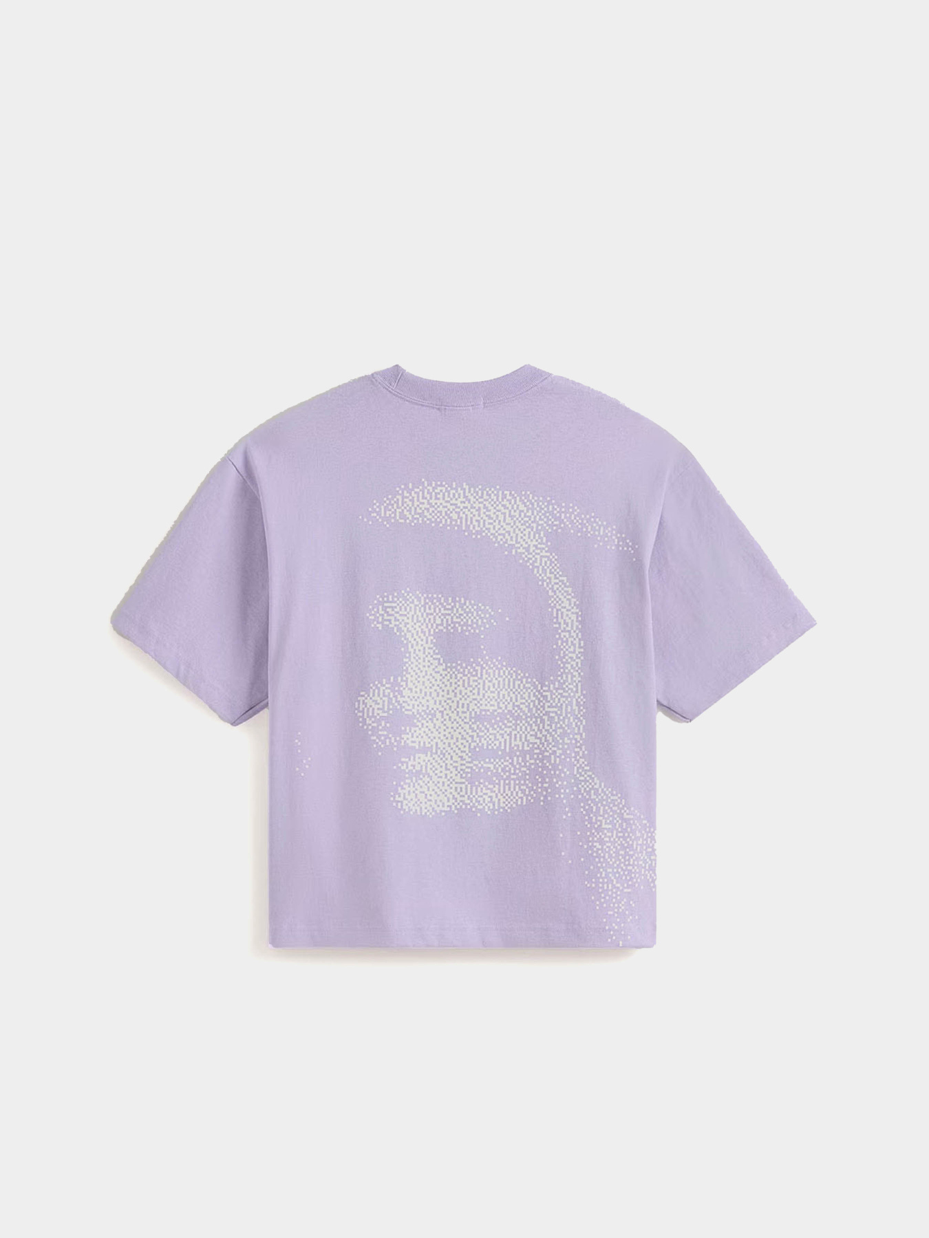 Футболки и поло Vans LX BLURRED FACE SHORT SS TEE модель VN000SMUFSF1 Фото