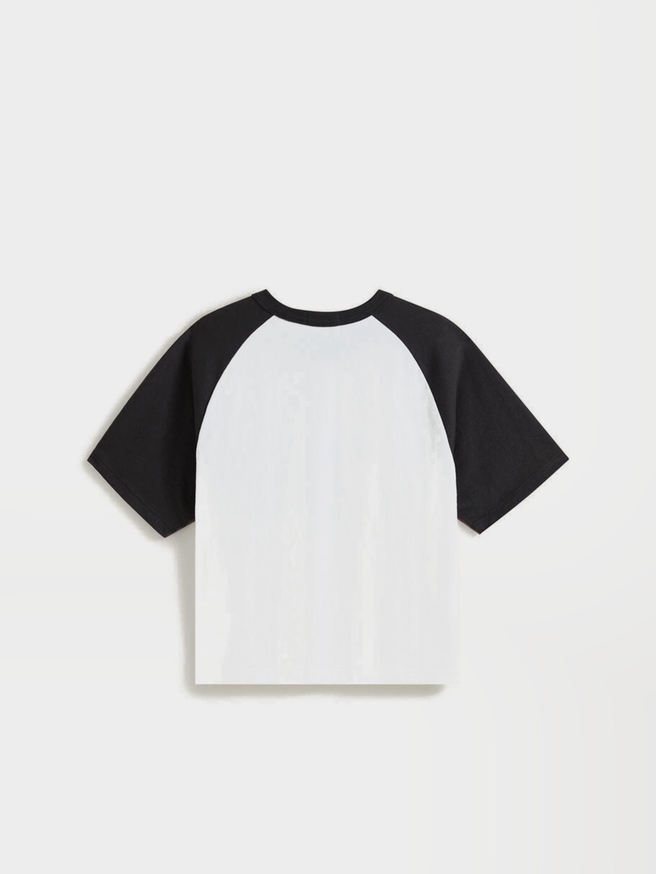 Футболка Vans LX DAYANA DOG FACE SHORT SS TE модель VN000S1CWHT1 Фото