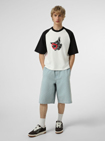 Футболки і поло Vans LX DAYANA DOG FACE SHORT SS TE модель VN000S1CWHT1 Фото