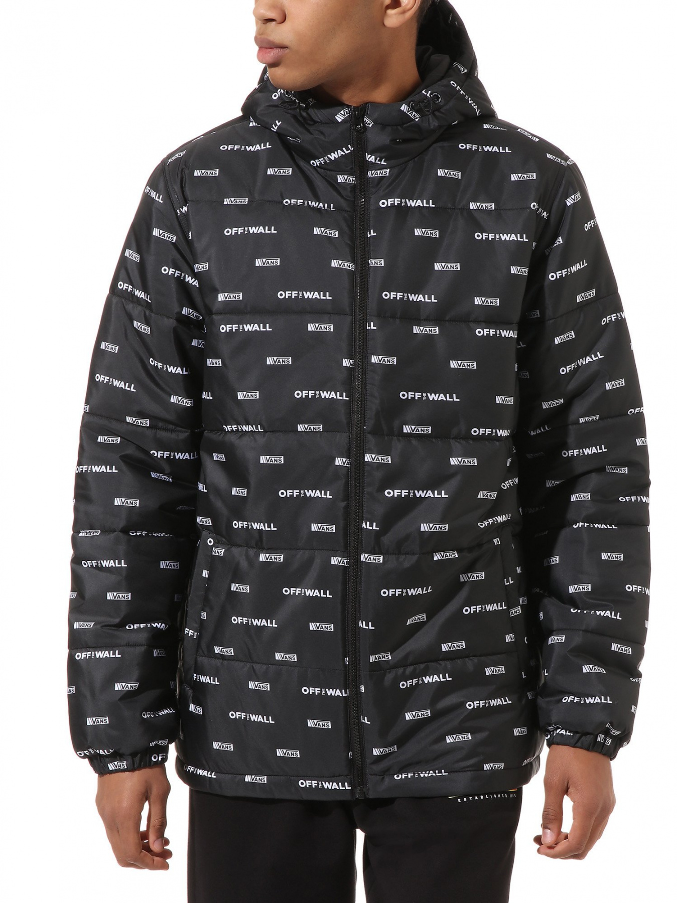 Куртка Vans Woodridge DNA модель VN0A45AZZMI1 Фото