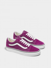 Кеди низькі Vans Old Skool модель VN0005UFDRV1 Фото