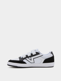 Кеды низкие Vans Lowland CC V модель VN000CTH6BT1 Фото