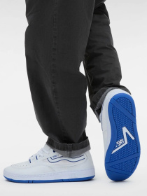 Кроссовки повседневные Vans Speed LS модель VN000CTN6501 Фото