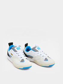 Кроссовки повседневные Vans Skate Mixxa модель VN000CUYWTM1 Фото