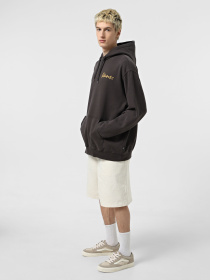 Кеды низкие Vans Rowley Classic модель VN0009QJYZL1 Фото