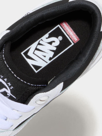 Кеди низькі Vans Skate Rowan 2 модель VN000D3SYB21 Фото