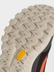 Кросівки аутдор Vans CROSSPATH XC модель VN000EANBFM1 Фото