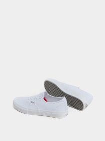 Кеды низкие Vans SKATE AUTHENTIC модель VN0A5FC8W001 Фото